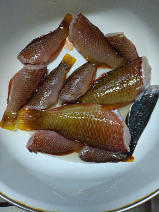 hunt/hdialy/0506.jpg