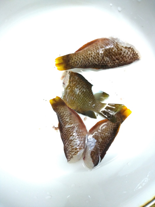 hunt/hdialy/0526.jpg