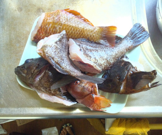 hunt/hdialy/0687.jpg