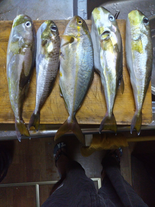 hunt/hdialy/0689.jpg