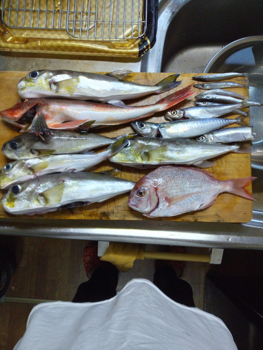 hunt/hdialy/0753.jpg