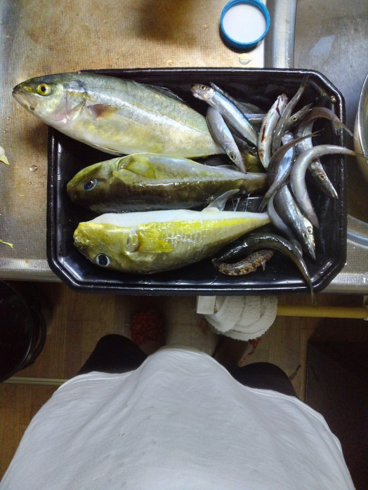 hunt/hdialy/0757.jpg