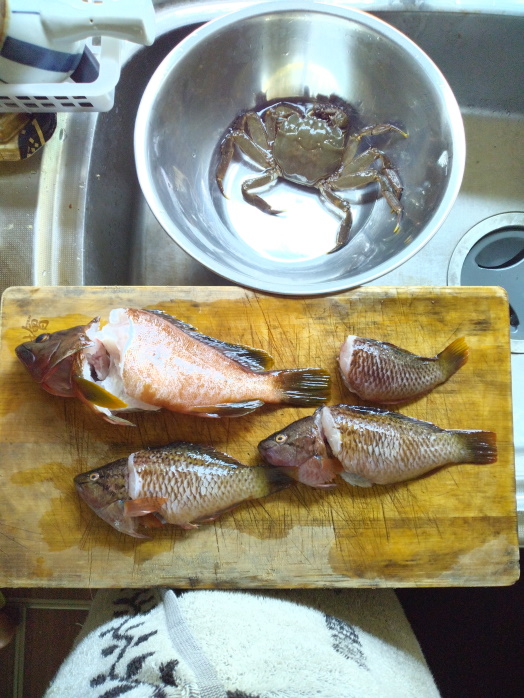 hunt/hdialy/0762.jpg