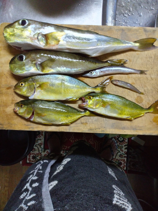 hunt/hdialy/0771.jpg
