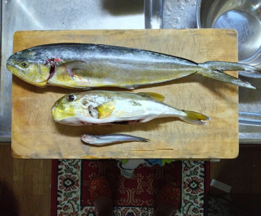 hunt/hdialy/0772.jpg
