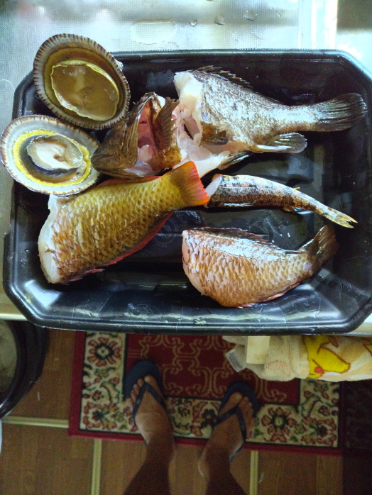 hunt/hdialy/0773.jpg