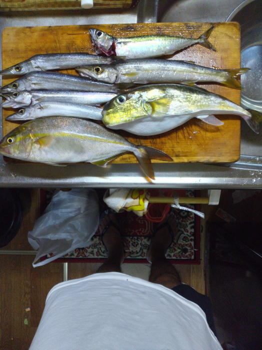 hunt/hdialy/0779.jpg