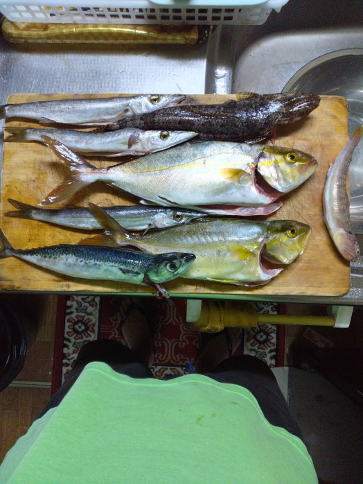 hunt/hdialy/0781.jpg