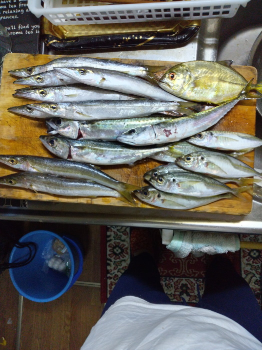 hunt/hdialy/0782.jpg