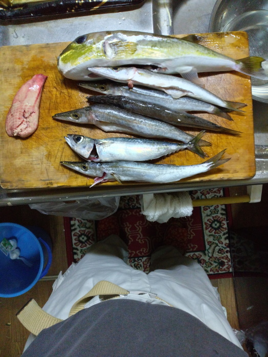hunt/hdialy/0783.jpg